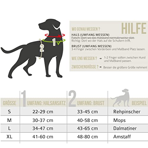 ne&no® Hundegeschirr mit passenden Ruckdämpfer [Developed by NE&NO] Geschirrset | Brustgeschirr für kleine und große Hund e | Geschirr Hund | Sicherheitsgeschirr (L)