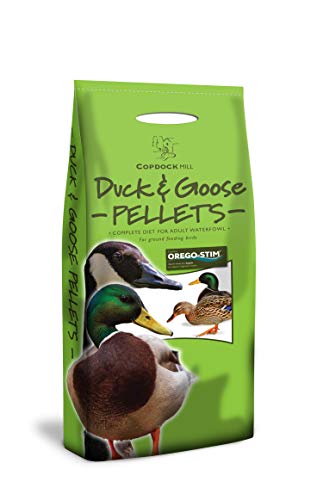 Copdock Mill Pellets de pato y ganso, una dieta completa para aves acuáticas adultas, ideal para la alimentación en tierra, apoya la salud digestiva, contiene aceite de orégano natural, pellets no