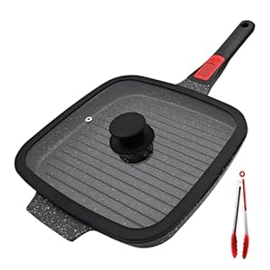 Griddle Pan with Lid, 10 Inch Cast ...