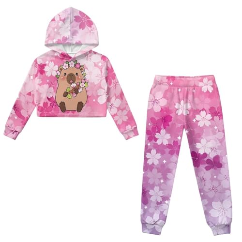 Girls 2 Piece Outfits Long Sleeve Hoodie Crop Top and Sweatpants Size 4-134