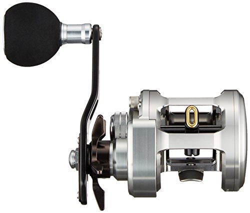 ダイワ(DAIWA) ベイトリール 15 キャタリナBJ 200SH (2015モデル) 5枚目