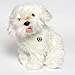 Doodle Kuscheltier Hund weiß 27 cm - Bichon Frise Westie Plüsch PURZEL