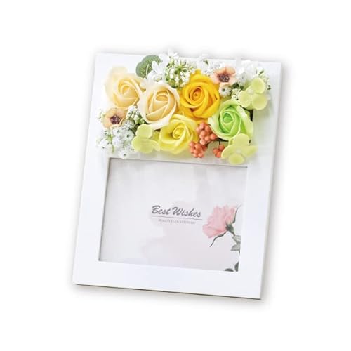 |s[É \[vt[ V{t[  Mtg v[g ʐ^ o 5 20cm NAP[Xt S-179 CG[