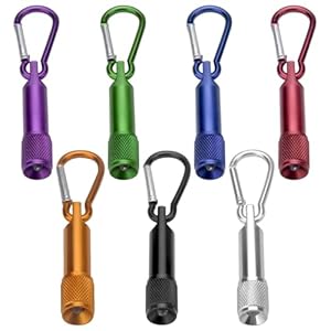 7 Stück Mini LED Taschenlampen Schlüsselanhänger, Taschenlampe Aluminium Kleine, LED Taschenlampe Kinder, Handlampe für Camping Wandern Draußen Radfahren Stromausfall Notfall, Batterien Enthalten