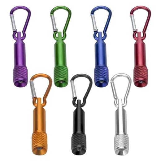 7 Stück Mini LED Taschenlampen Schlüsselanhänger, Taschenlampe Aluminium Kleine, LED Taschenlampe Kinder, Handlampe für Camping Wandern Draußen Radfahren Stromausfall Notfall, Batterien Enthalten