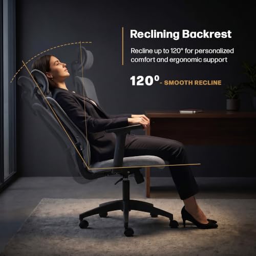 Image of DROGO Ergonaut Ergonomic Office Chair for Work from Home | Computer Chair with 2D Headrest, Armrests & Adjustable Lumbar Support | Breathable Mesh with 120 Recline, 1-Year Warranty (Grey & Grey)
