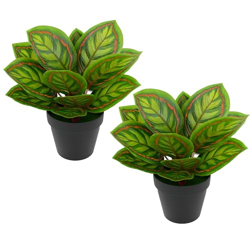 Image of AQS INTERNATIONAL - Set of 2 Red Dragon Fake Plant 30cm Artificial Tree Potted, Realistic Plants, Fake Leaf, Modern Decorative Green Plant For Home Living Room Office, Indoor Outdoor Garden