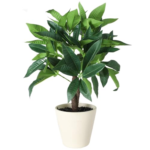 観葉植物 フェイクグリーン アラリア 植物 高さ約40cm 人工観葉植物 鉢付き アラリア 植木 おしゃれ インテリア飾り 結婚式 新築祝い 誕生日 プレゼント