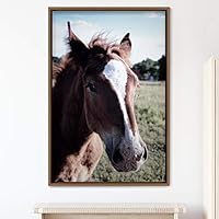 Framed Canvas Wall Art Horse Animals Dramatic Farmhouse/Country Horse Living Room Multicolor Photography - 16x24 inches