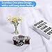 HEMMOTOP Photo Backdrop Curtains, 5x6.56 ft White Backdrop for Photoshoot, White Photography Seamless Backdrops Background for Easter, Birthday Party, Halloween, Photo, Projector Screen (150x200 cm)