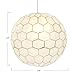 Creative Co-Op Capiz Honeycomb Globe Pendant Light, Capiz White Seashells with Antique Gold