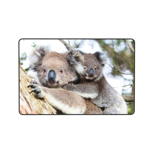 Tapis koala super doux imprimé haute définition EdWal - 8