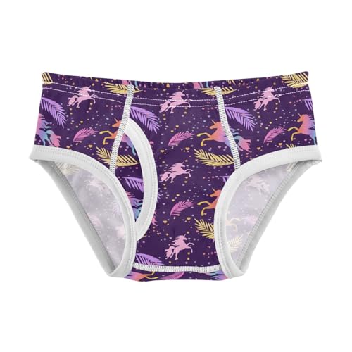 Little Boys Briefs Rainbow Unicorn Soft Cotton Toddler Underwear in Sizes 2/3t, 4t, 5t, 6 and 8