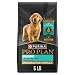 Purina Pro Plan Probiotics Dry Puppy Food, SAVOR Shredded Blend Chicken & Rice Formula - 6 lb. Bag, PRO PLAN ShdBlnd Ppy Chkn Ri