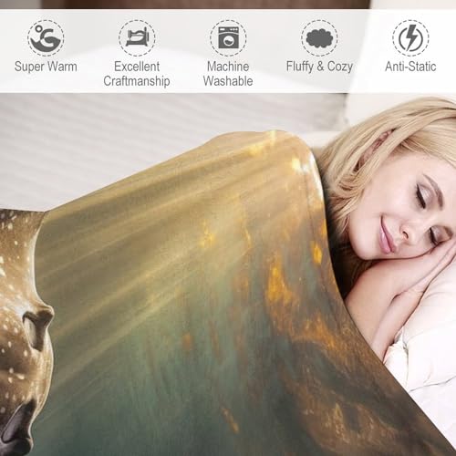 Couverture raie manta plaid polaire lit et canapé douce - 4