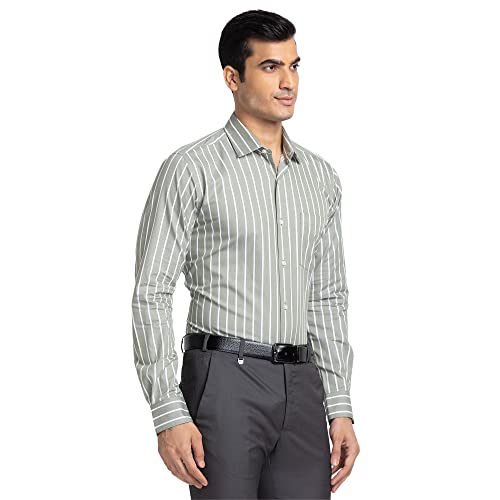 Image of Park Avenue Men's Pure Cotton Stripe Pattern Slim Fit Ainsley Collar Full Sleeve Formal Shirt