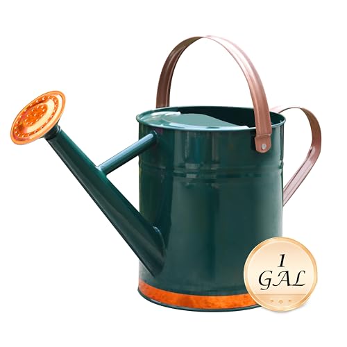 Metal Watering Can for Outdoor and Indoor Plants, Watering Can Decor, 1 Gallon (1 Gallon Green2)