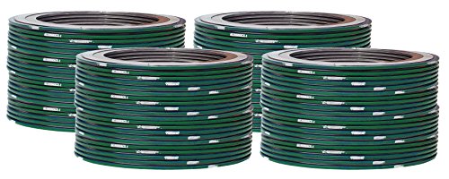 Sterling Seal 9000IR1316PTFE1500X96 316L Stainless Steel Spiral Wound Gasket with 316SS Inner Ring and PTFE Filler for 1" Pipe, Pressure Class 1500#, Green Band with White Stripe (Pack of 96)