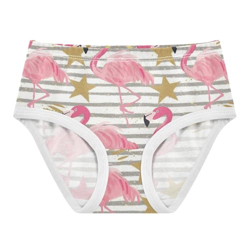 Wusikd Gold Glitter Stars Girls' Underwear Cotton Pink Flamingos Girls Briefs Soft Toddler Underwear 2T