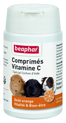 BEAPHAR – Comprimés de Vitamine C pour Cochon d'Inde – Goût Orange – Apporte vitalité et bien-être – Répond aux besoins des cochons d’Inde en Vitamine C – Bonne santé – 100 pièces
