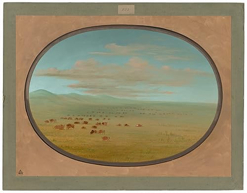 Tableau Toile George Catlin Le Pâturage de la Pampa pour Déco Murale 60x90cm
