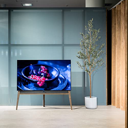 Realead 7ft Olive Trees Artificial Indoor, Tall Faux Olive Tree Plant for Modern Home Office Decor, Fake Potted Olive Silk Tree with Branches and Fruits