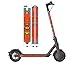 Coolnamic | Modelo Look Here | Pegatinas para Patinete Eléctrico | Vinilos Decorativos Patinetes | Compatibles con Xiaomi M365, Pro, Essential, 1S, PRO. | Impermeables