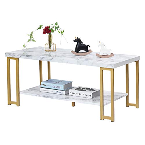 RELAX4LIFE Table Basse Rectangulaire, Table Imprimée de Marbre à 2 Étages avec Cadre Métallique et Pieds Creux Charge 50KG, Idéale pour Salon, Bureau, 100X50X45CM,...