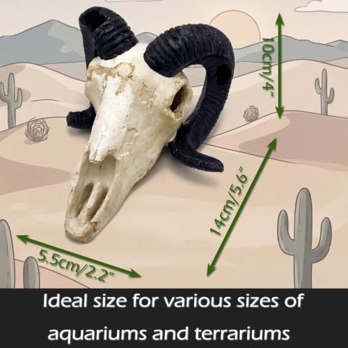 Image of Fish Aquarium Tank Hideout Decor Decorations Dinosaur Skull Fish Tank Decor Cave Skull Betta Animal Halloween Large Reptile Bones Snake for Terrarium Ornament
