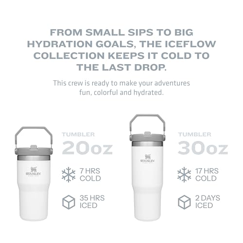 STANLEY IceFlow 30oz Stainless Steel Tumbler - Vacuum Insulated, Reusable Water Bottle with Straw for Home, Office, or Car, Keeps Drinks Cold for 12 Hours and Iced for 2 Days, Ash Color