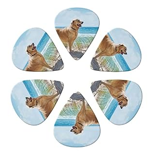 ASDTEHCY Lot de 6 médiators en celluloïd, Golden Retriever, fins, moyens et lourds pour guitares acoustiques… - Les Beatles, Paul McCartney, John Lennon, RIngo Starr, George Harrison ASDTEHCY Lot de 6 médiators en celluloïd, Golden Retriever, fins, moyens et lourds pour guitares acoustiques… – Image 2