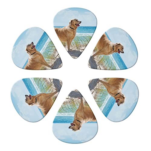 ASDTEHCY Lot de 6 médiators en celluloïd, Golden Retriever, fins, moyens et lourds pour guitares acoustiques… - Les Beatles, Paul McCartney, John Lennon, RIngo Starr, George Harrison ASDTEHCY Lot de 6 médiators en celluloïd, Golden Retriever, fins, moyens et lourds pour guitares acoustiques… – Image 3