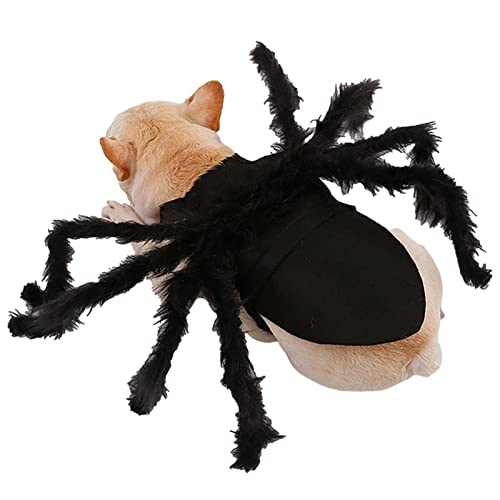 Traje de Aranha para Gato - Horror Simulação Big Spider Pet Dress Up,Fato de gatinho ajustável cacho