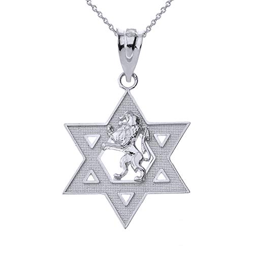 Sterling Silver Israel Lion of Judah Magen David Star Hebrew Pendant Necklace, 18 