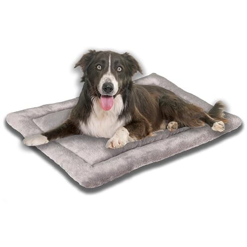 MyBestBuddy Hundekissen Komfort grau 80x60 cm L, allergikerfreundlich (100% Polyester), rutschfest - 40°C waschbar mit flauschigem Stoffbezug - Hundematte BZW. Hundebett für mittelgroße Hunde