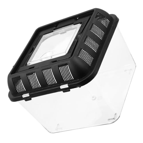 Popetpop Reptilien Terrarium B084I5T57SA4L017MZADIR8