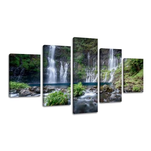 5 Piece Large Wall Art Prints Paintings stunning nature photograph