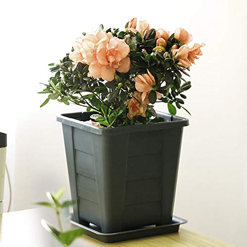 Gertok Blumentopf Blumentöpfe Pflanzenzubehör Pflanzgefäße für die Wand Blumentöpfe für Balkon Gartendekorationen Hauptdekorationen Blumentöpfe Indoor 4.23inch - Image 6