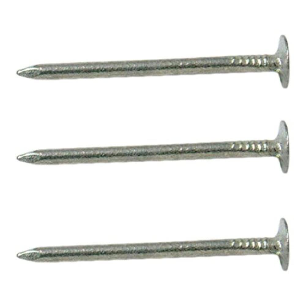 Merriway Grey Bh03740 (500 Gm) Elh Extra Large Head Clout Nail, 19Mm (3/4 Inch) Galvanised - Pack Of 500 Gm
