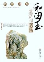 Appreciation and Investment of Hetian Jade (Chinese Edition) 7539826770 Book Cover
