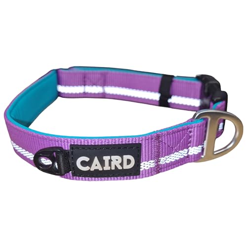 Collier chien CAIRD Journey Light violet et turquoise L - 6