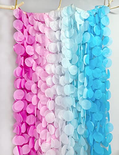 205 Ft Gender Reveal Party Decorations Ombre Pink And Blue Big Circle Dot Backdrop Garland Tissue Paper Polka Dot Hanging Curtain Streamer For He Or She Boy Or Girl Baby Shower Birthday Party Supplies #TOP3