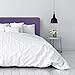 HAPPERS Cabecero antialérgico Polipiel Violeta 110x50x8 (Cama 105), Herrajes incluidos