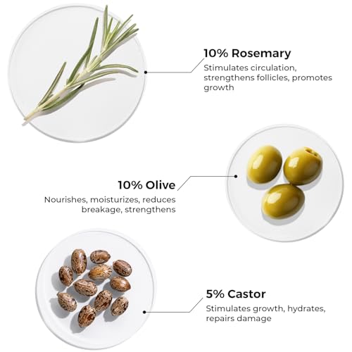 Image of Brillare 10% Rosemary Hair Oil for Hair Growth with 10% Olive Oil & 5% Castor oil | Reduces Hair Fall | Strengthens Hair | Visible Results in 4 Weeks. (Pack of 2)