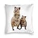 Anime \u0026 Quokka con bebé Oso de peluche australiano Funda de almohada de terciopelo Funda de almohada para el suelo Cojín para sofá Funda de cojín Respaldo sobre el cojín del asiento Interior