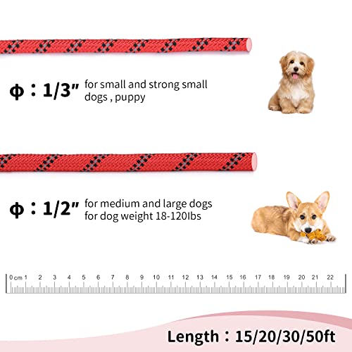 Image of Long Dog Leash for Training 30Ft-Reflective Nylon Rope with Swivel Hook-Recall Agility Lead for Large Small Medium Dogs Outside Walking Hiking-Red