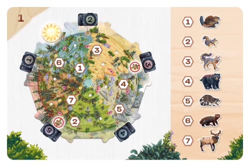 Image of Sit Down Games Redwood | A Strategy Board Game for 1-4 Players Take Pictures of Wild Animals to Compose The Most Beautiful Panorama| Ages 8+
