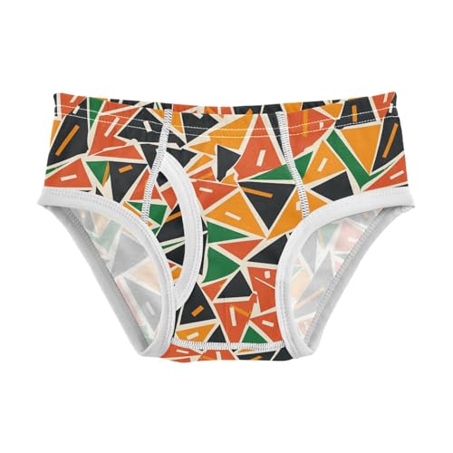 visesunny Boys Potty Training Underwear Geometric Triangle Figures Breathe Cotton Briefs Size 2T-8Y for Toddler