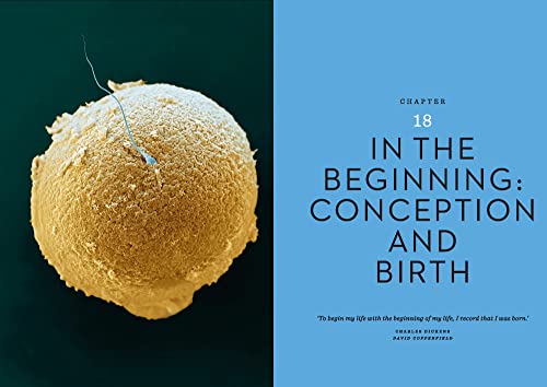 THE BODY - ILLUSTRATED: A guide for occupants