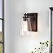 Industrial 1 Light Bathroom Vanity Light Fixture with Clear Seeded Glass Shade, Oil Rubbed Bronze Finish